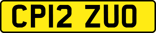 CP12ZUO