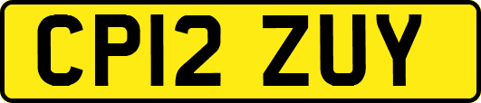 CP12ZUY