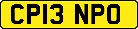 CP13NPO