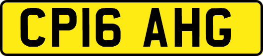 CP16AHG