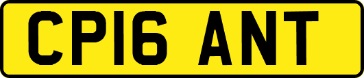 CP16ANT