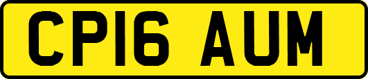 CP16AUM