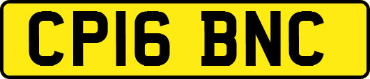 CP16BNC