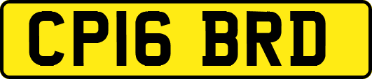 CP16BRD