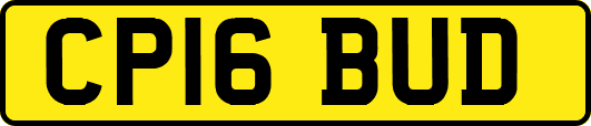 CP16BUD