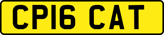 CP16CAT