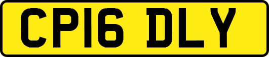 CP16DLY