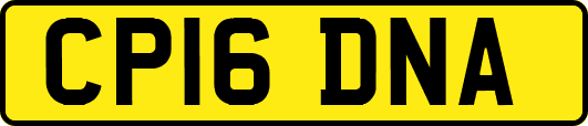 CP16DNA