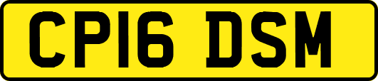 CP16DSM