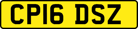 CP16DSZ