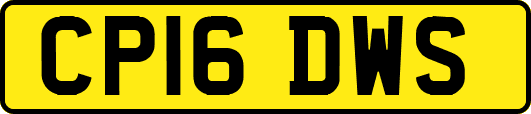 CP16DWS