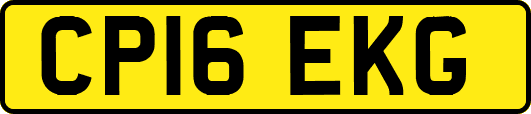 CP16EKG