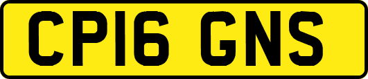 CP16GNS