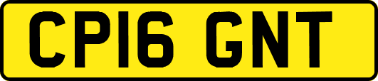 CP16GNT
