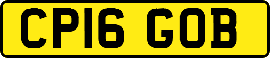 CP16GOB