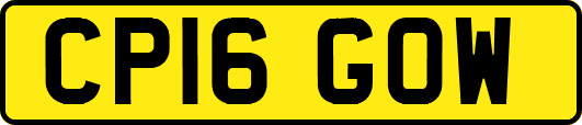 CP16GOW