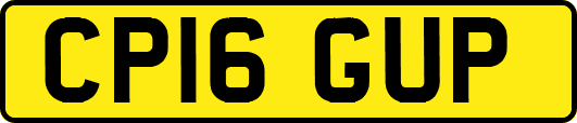 CP16GUP