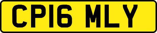 CP16MLY