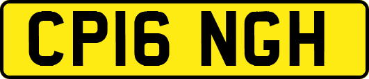 CP16NGH
