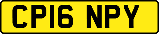 CP16NPY
