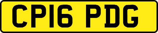 CP16PDG