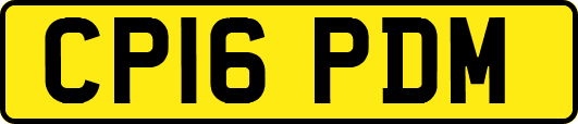 CP16PDM