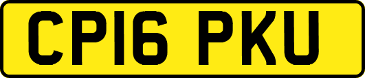 CP16PKU