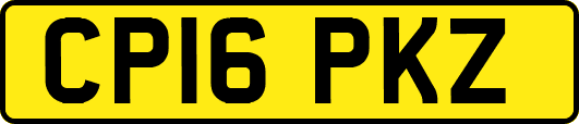 CP16PKZ