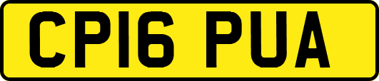 CP16PUA