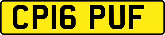 CP16PUF