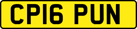 CP16PUN