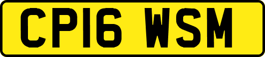 CP16WSM