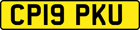 CP19PKU