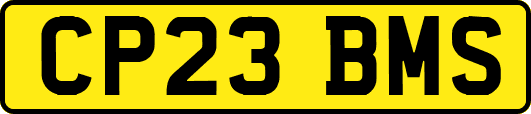 CP23BMS