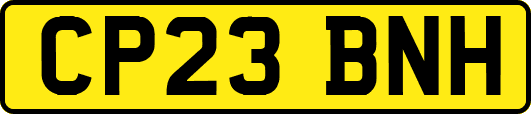 CP23BNH