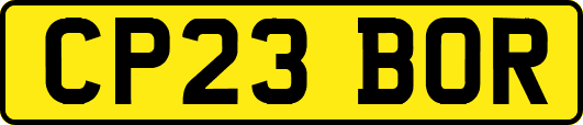CP23BOR