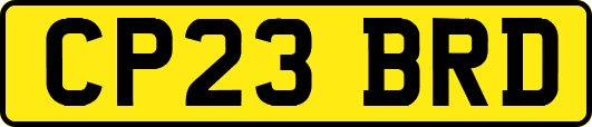 CP23BRD
