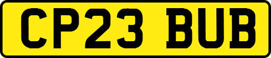 CP23BUB