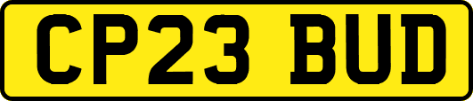 CP23BUD