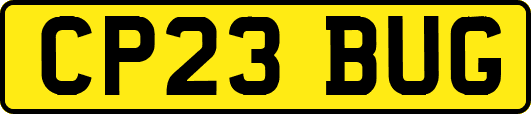 CP23BUG