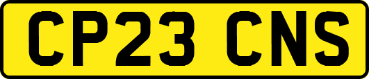 CP23CNS