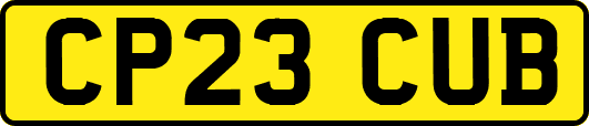 CP23CUB