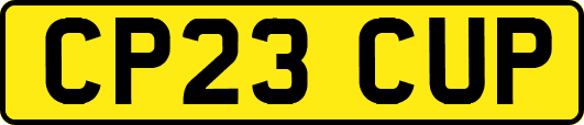 CP23CUP