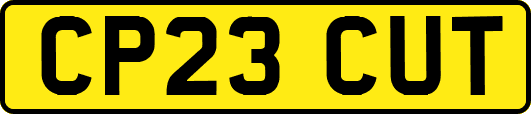 CP23CUT