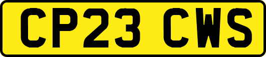 CP23CWS