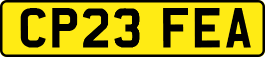 CP23FEA