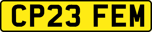 CP23FEM