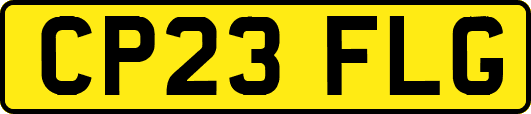 CP23FLG