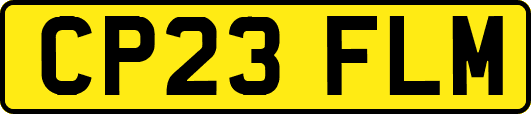 CP23FLM