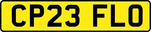 CP23FLO